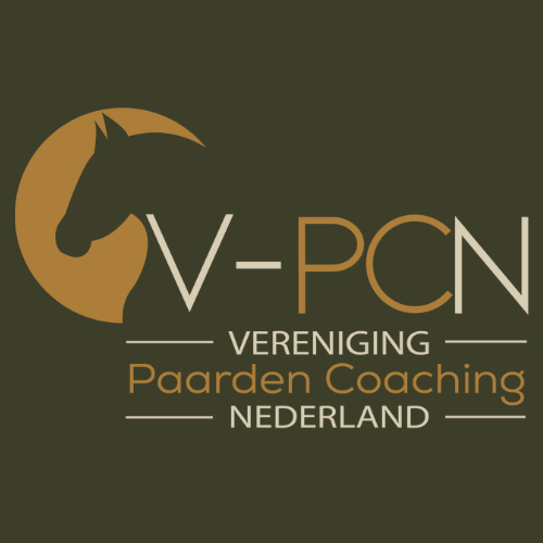 LOGO V Pcn 1 2