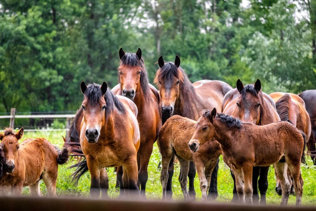 WhatsApp Image 2026 04 07 at 20.32.16