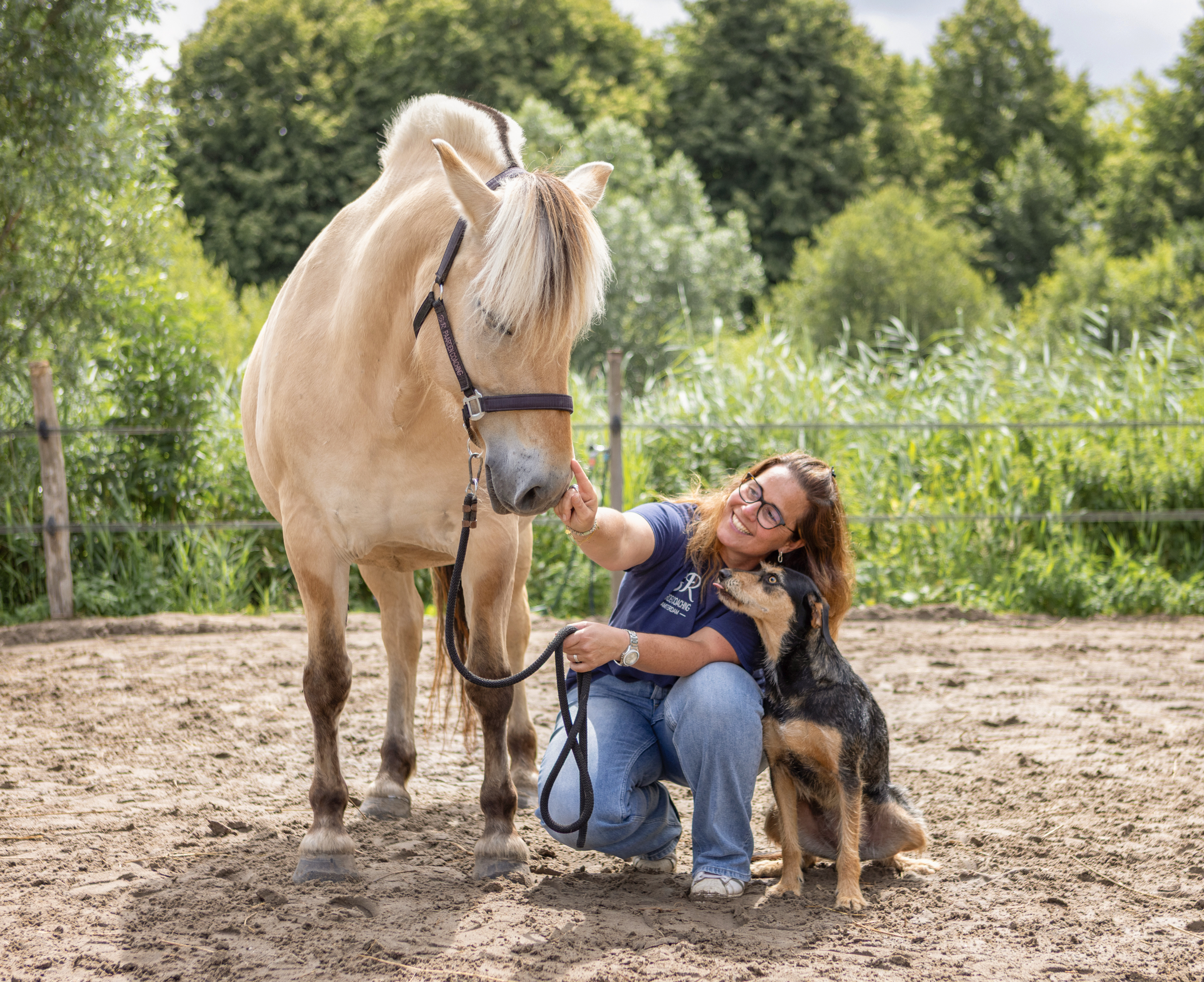 SR Paardencoaching en Paardrijlessen